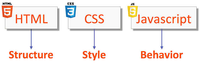 HTML, CSS, JS 삼총